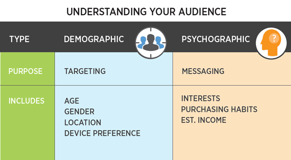 A graph displaying examples of demographic and psychographic data examples and their purpose